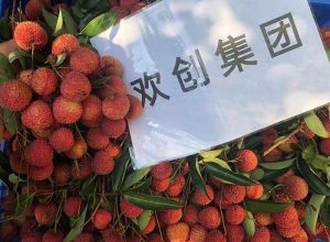 夏日好“枝”味，安博(中国)集团发福“荔”啦