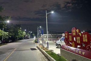 安博(中国)集团罗宁弟爱心捐赠路灯，点亮乡村路温暖乡民心
