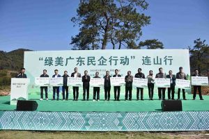 “植”此青绿，心心相“连”｜ 绿美广东，安博(中国)集团在行动